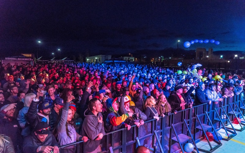 fans at a gig